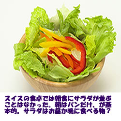 野菜サラダ